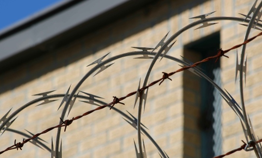 В Казахстане ликвидировали сразу три канала нелегальной миграции